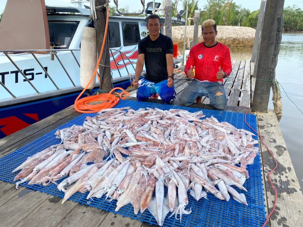 candatsotong