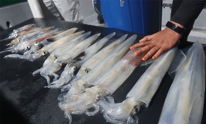 lubuk-sotong